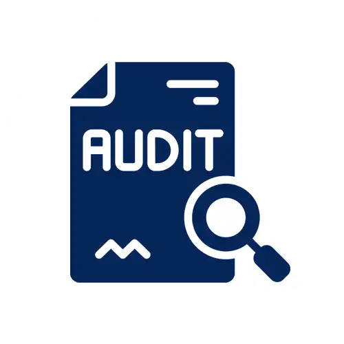 Page-by-Page Audit